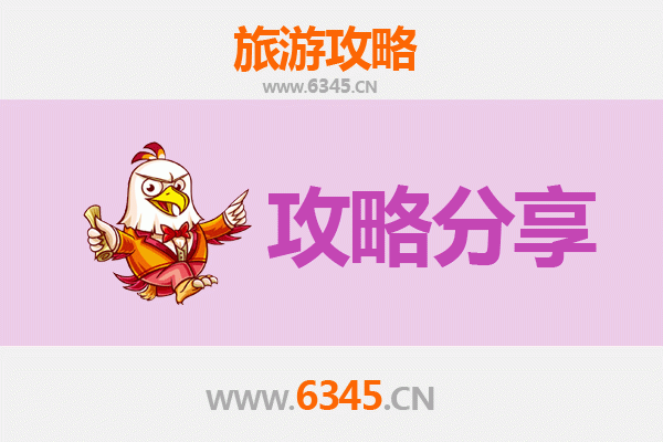 乐东抱由镇旅游攻略：跟团与自由行深度对比